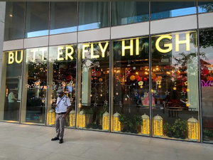 Butterfly High