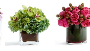 Fresh Flora