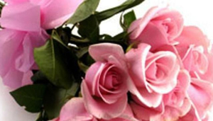 India Florist Direct