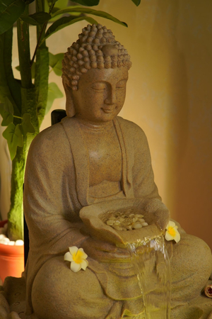 Pranaa wellness spa