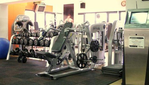 Waves Gym