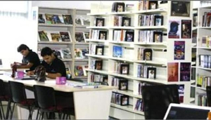 Whistling Woods International