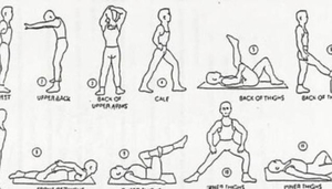 Your Fitness Club