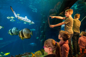 München: dagticket voor Sea Life