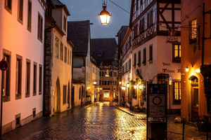 Múnich: Navidad en Rothenburg y ruta romántica en Mercedes