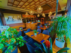 Fefee Asian Kitchen