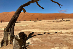 2 Day Sossusvlei and Sandwich Harbour Dune Extravaganza