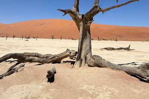 3-Day Sossusvlei All Inclusive trip