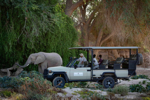 Ancient Damaraland & Wildlife Escape 4 Days / 3 Nights
