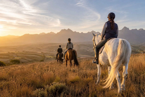 From Windhoek -Horse-riding excursion