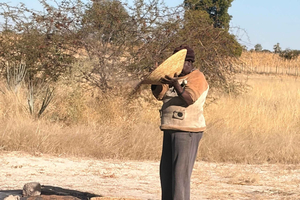 Full Day Aawambo Cultural Immersion:Homesteads in Ovamboland