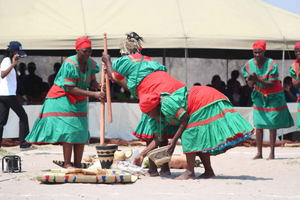 Katima Mulilo: Guided Chobe National Park Day Safari