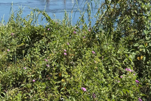 Kavango River Safari & Fishing Adventure