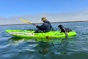 Pelican Point Seal Kayaking Adventure