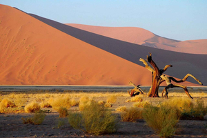 Sesriem: Sossusvlei Dunes & Desert Scenic Experience