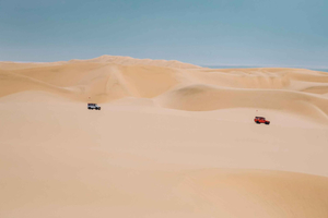 Walvis Bay: Full Day of Sandwich Harbour with Beach Lunch