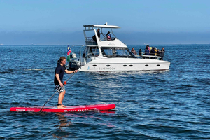 Walvis Bay: Avventura in kayak con foca e brunch