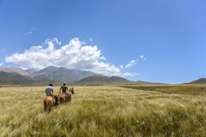 Windhoek: Guided Horse Riding Adventure in Nature