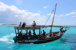 Zanzibar: Safari Blue Lagoon Day Trip with Snorkeling &Lunch