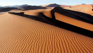 Deserto del Kalahari