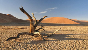 Self-drive Holiday in Namibia
