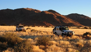 ASCO Car Hire
