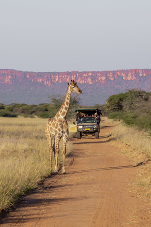 Cheetah View Lodge