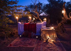 Desert Rhino Camp