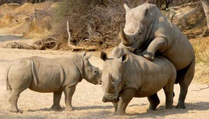 Epako Game Lodge
