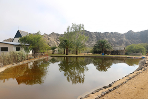 Goanikontes Oasis Rest Camp
