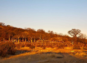 Halali Resort