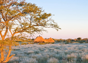 Kalahari Red Dunes Lodge