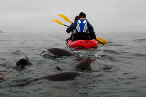 Kayaking Combo with Beach Braai