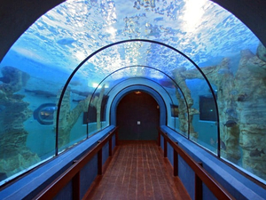 National Marine Aquarium