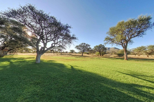 From Windhoek: Okapuka Safari Lodge Day Trip