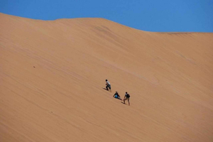 Highlights of Walvis Bay Private Tour