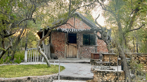 Roy's Rest Camp