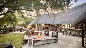 Roy's Rest Camp