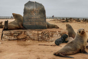 Cape Cross and Henties Bay Guided Tour SkeletonCoast Namibia