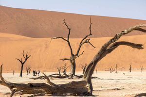 Swakopmund: 3-Day Namib Signature Desert Tour