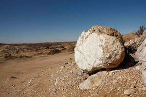 Swakopmund: Moon Valley and Namib Desert Welwitschia Tour