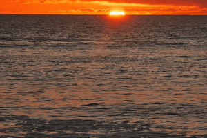 Walvis Bay: Sandwich Harbour Sunset Tour with Lunch