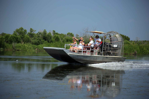 From Lafitte: Swamp Tours South of New Orleans by Airboat
