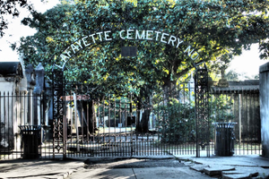 New Orleans: Garden District Tour