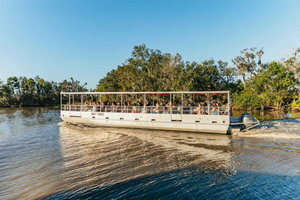 New Orleans: Guided Swamp Cruise by Tour Boat