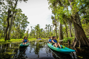 Nowy Orlean: Manchac Magic Kayak Swamp Tour