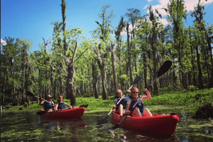 Nowy Orlean: Manchac Swamp Wildlife Kayaking Tour
