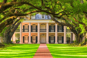 New Orleans: Tour della piantagione di Oak Alley e trasporto
