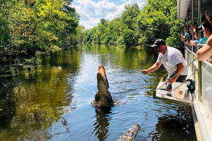 New Orleans: Swamp Boat Ride & Oak Alley Plantation Tour