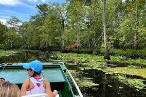 Signature Swamp Eco Tour with Local Guide